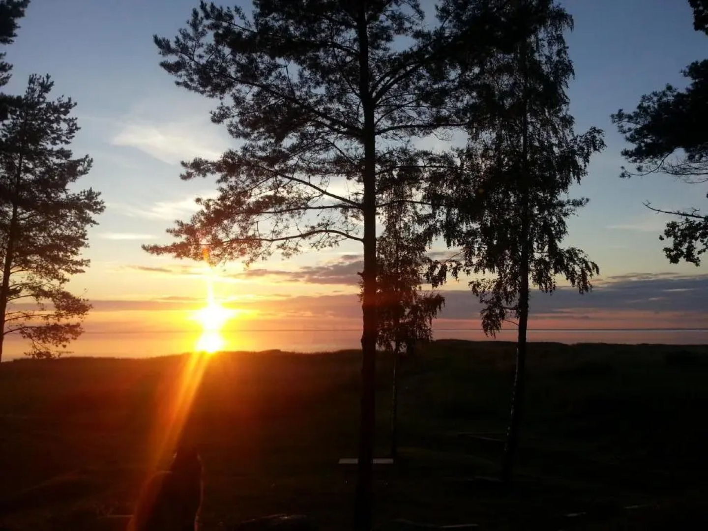 Metsaääre Accommodation