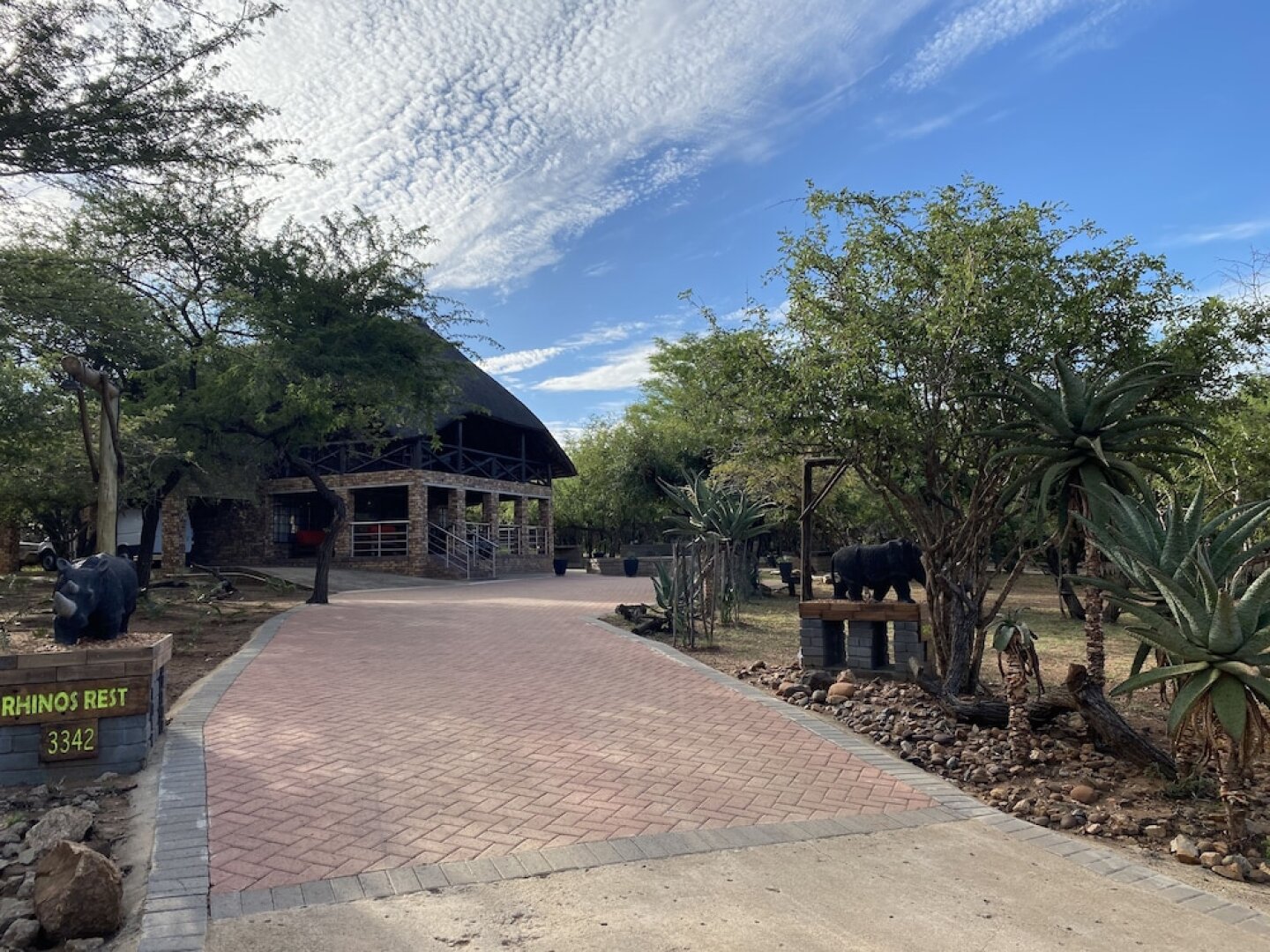 Rhinos Rest