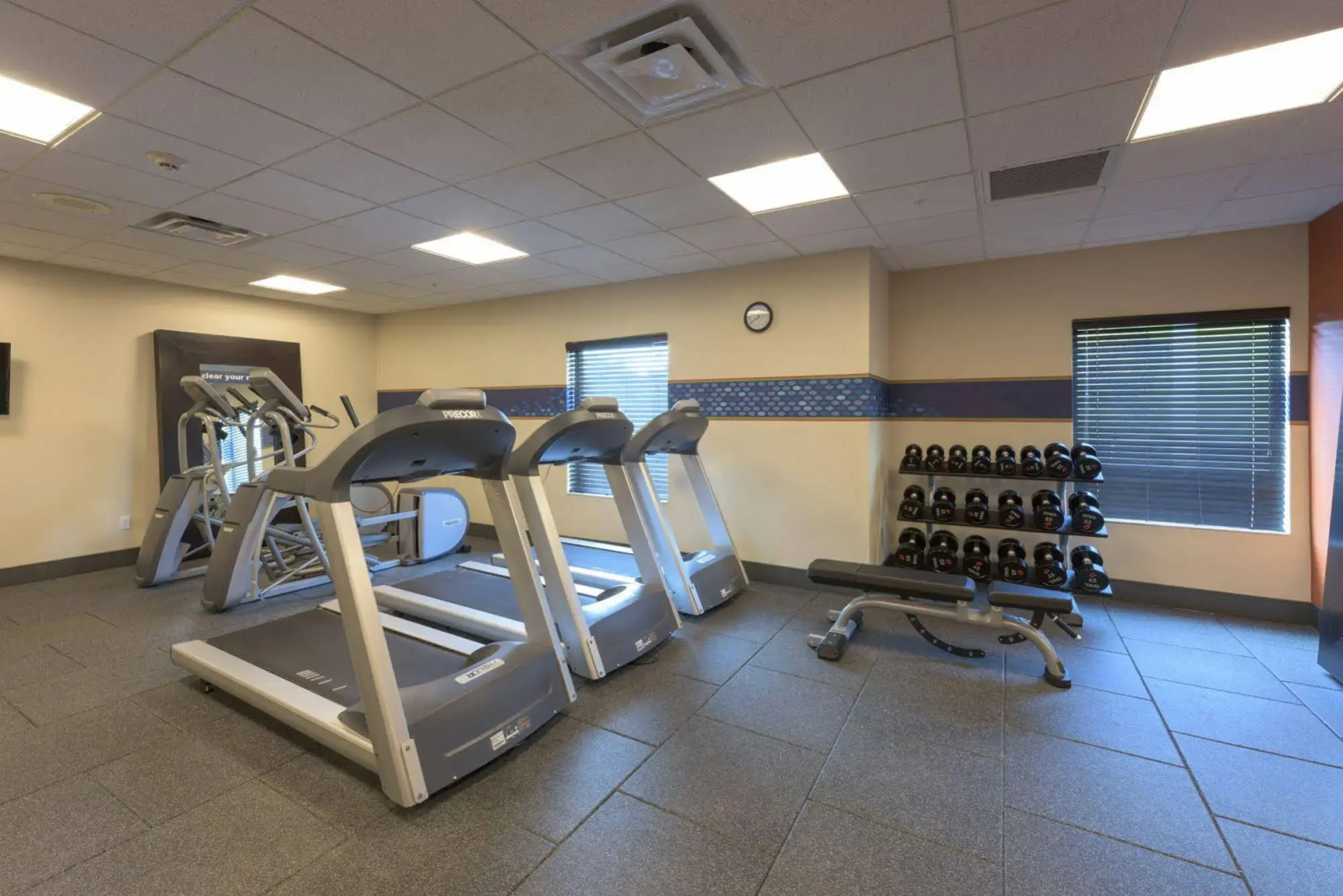 Hampton Inn Buffalo-Hamburg