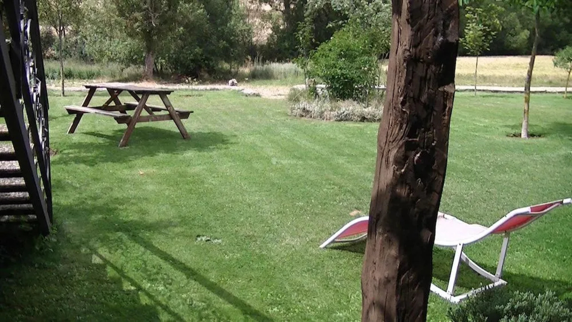 La Panera De La Tila