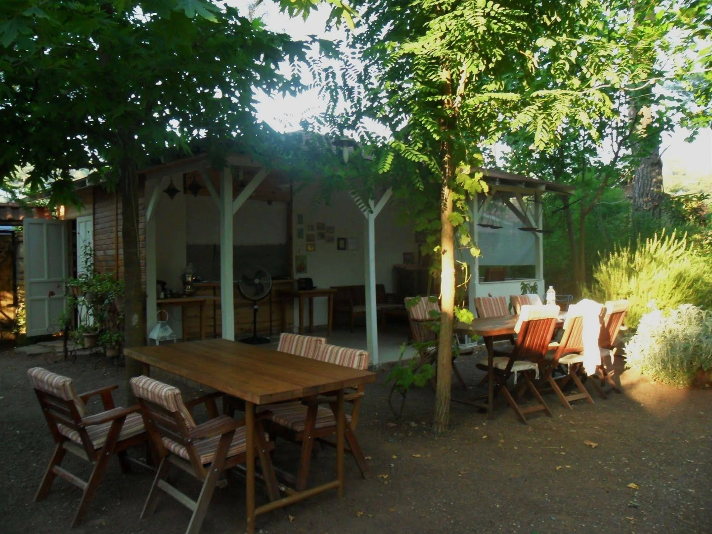 Daphne House