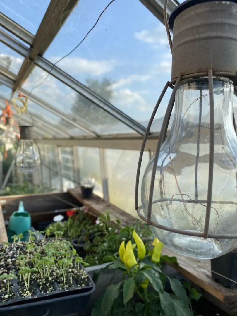 The Talbot at Knightwick