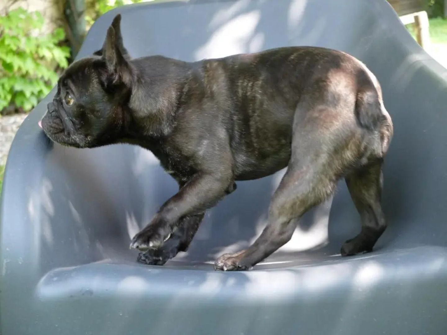 B&B Villa dei Calchi - Suite Room di Charme