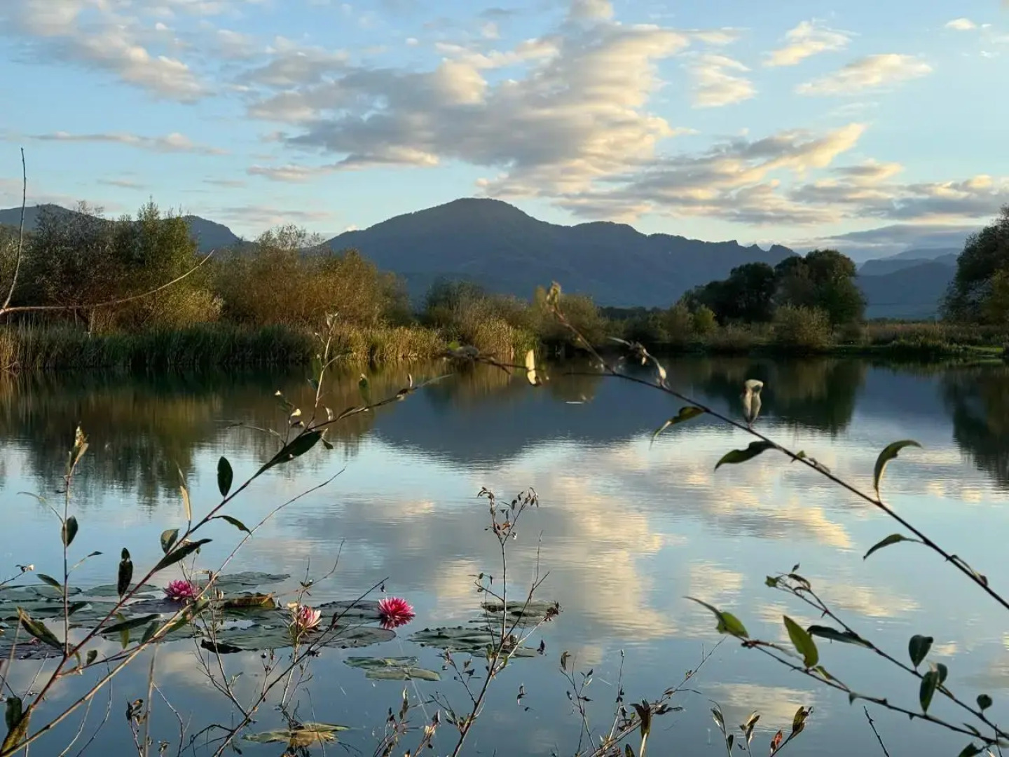 Ранчо в горах Лаго-Наки