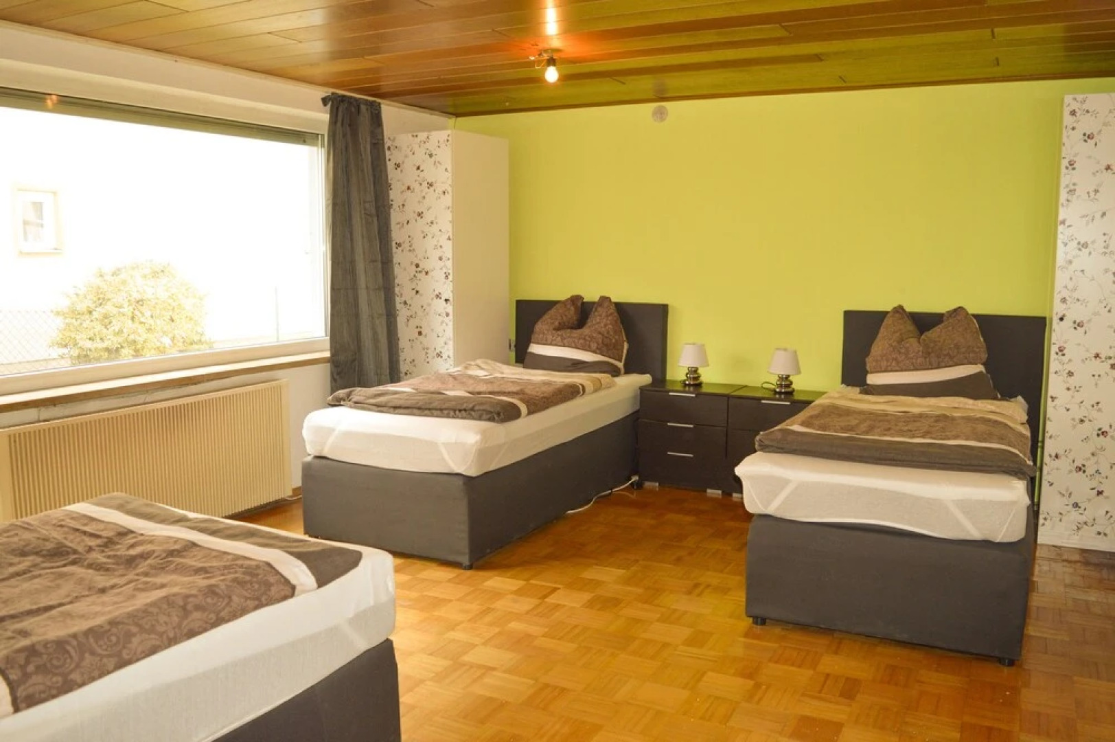 alpha-spot Weißenhorn