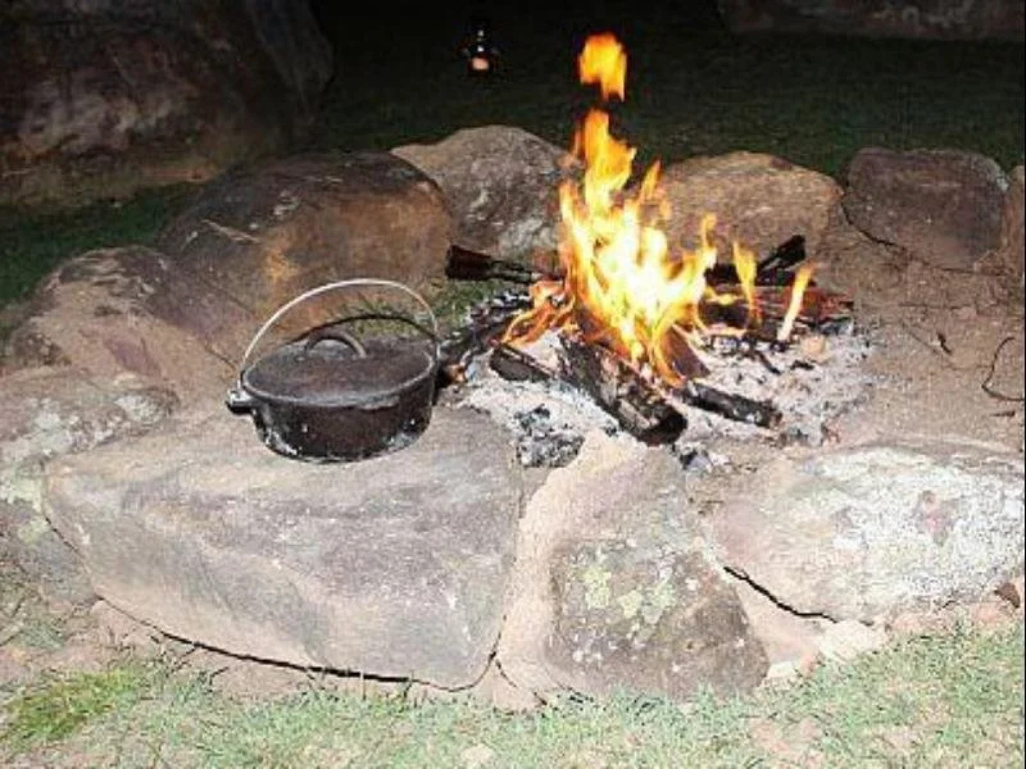 Tuckeroo Cottages & Gardens