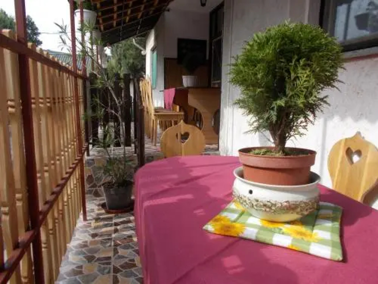 Szoke Tisza Vendeghaz