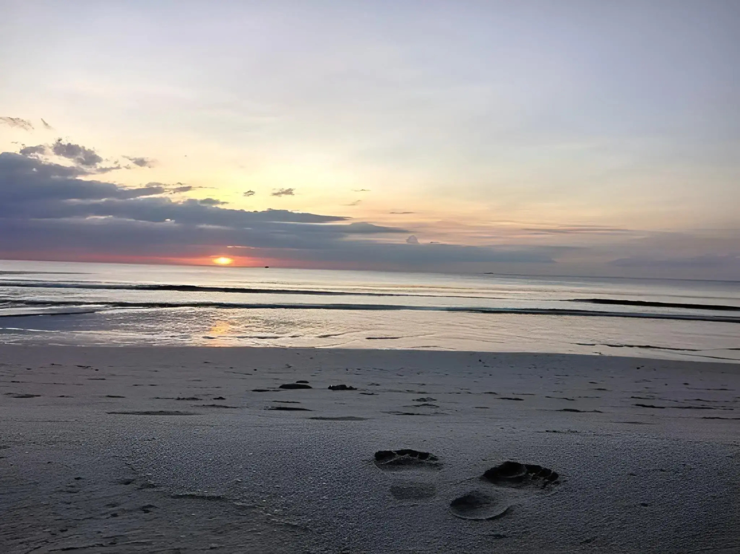 Tommy’s Place @ Tip of Borneo