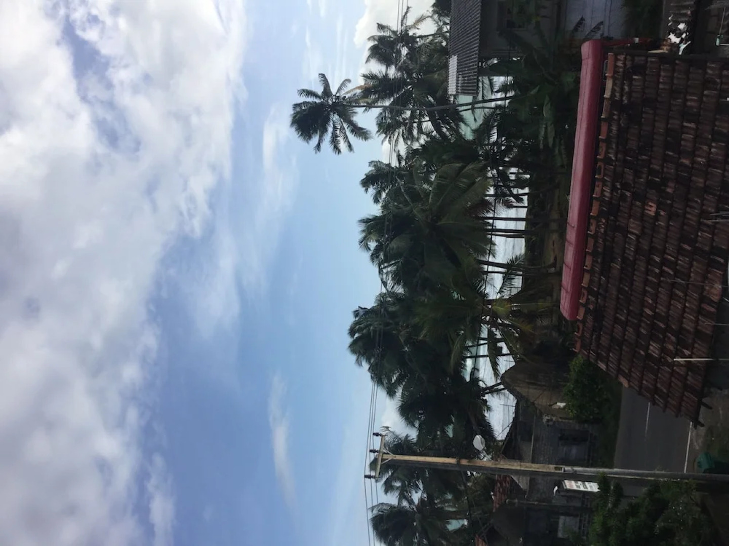 White Baby Guest House & Restaurant