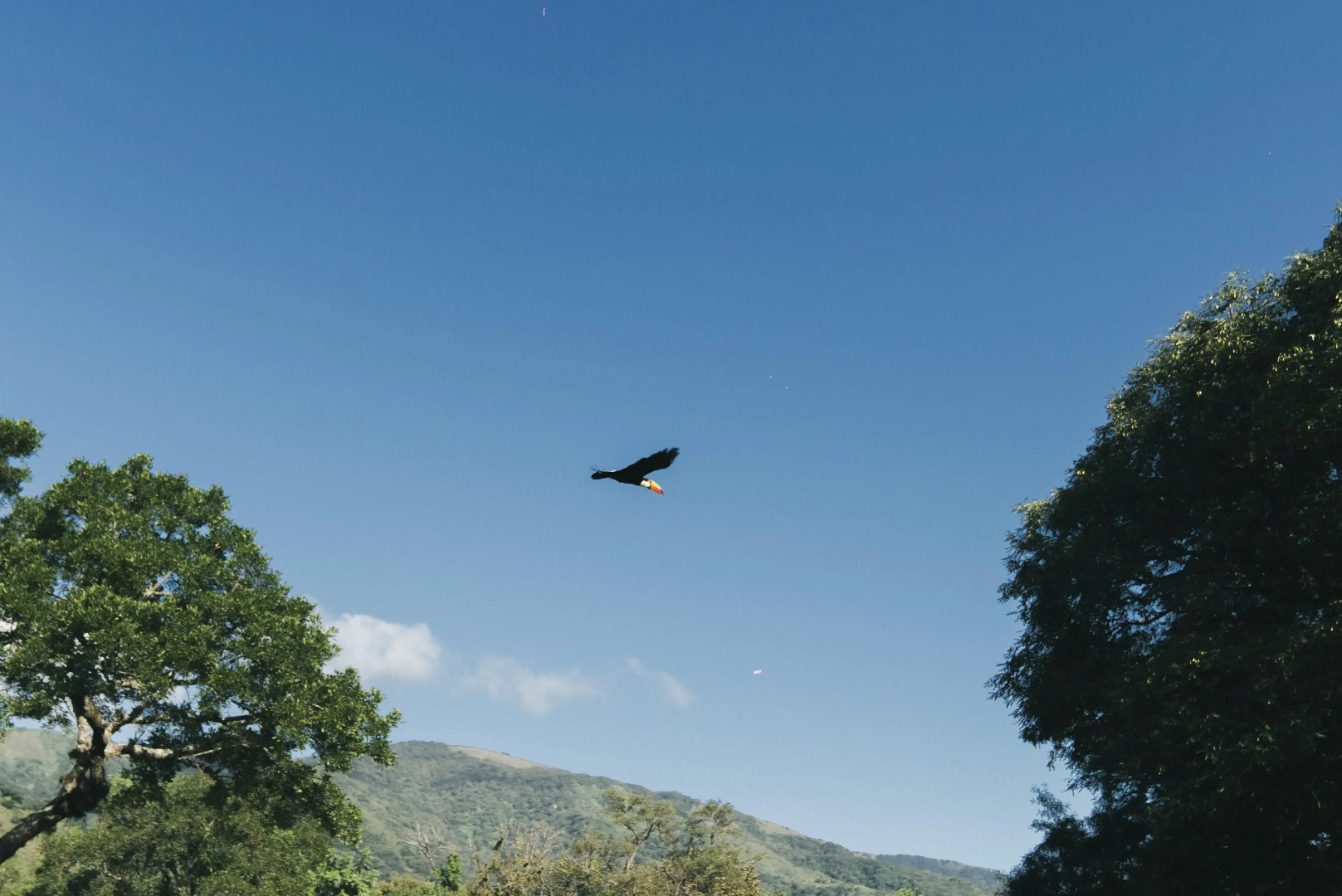 Hotel Rincon del Cerro