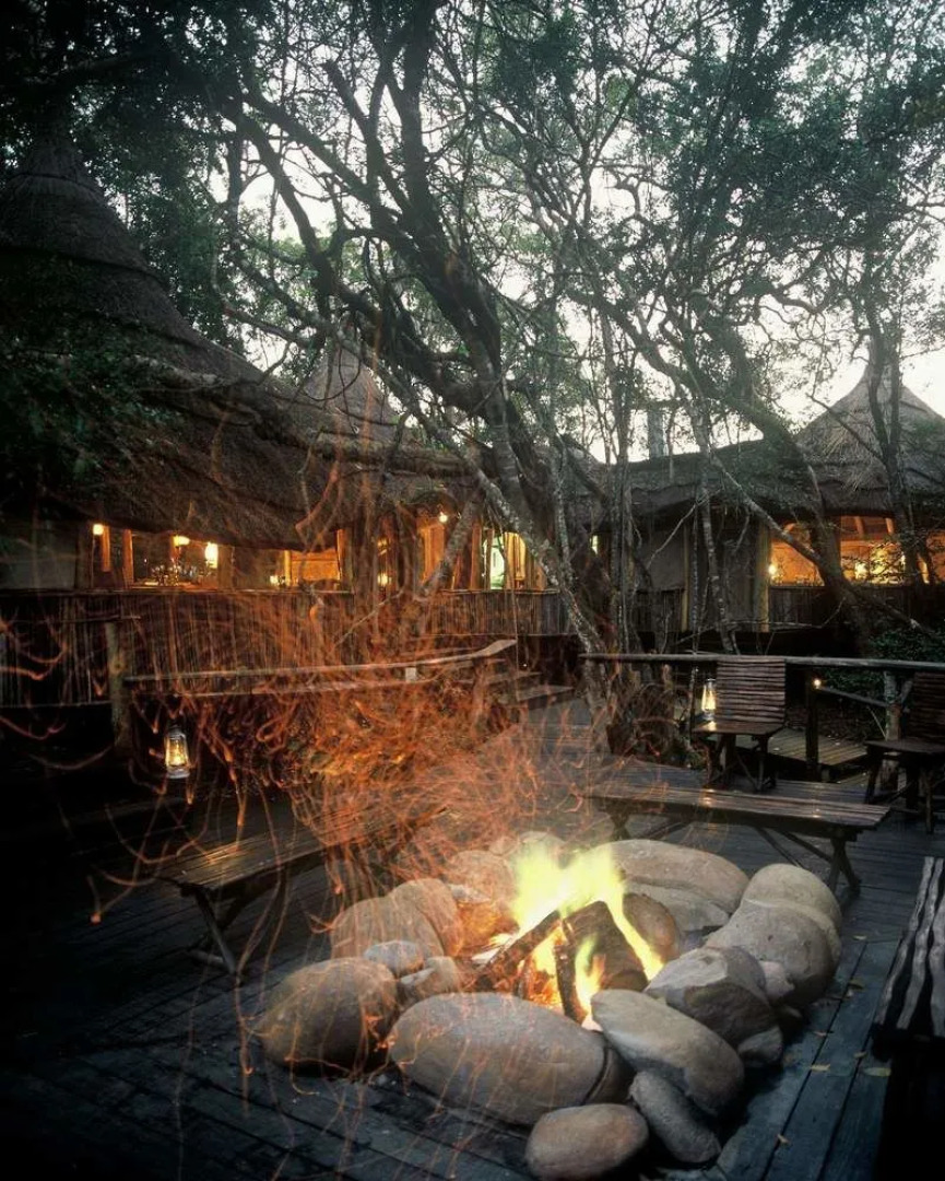 Phantom Forest Eco Reserve