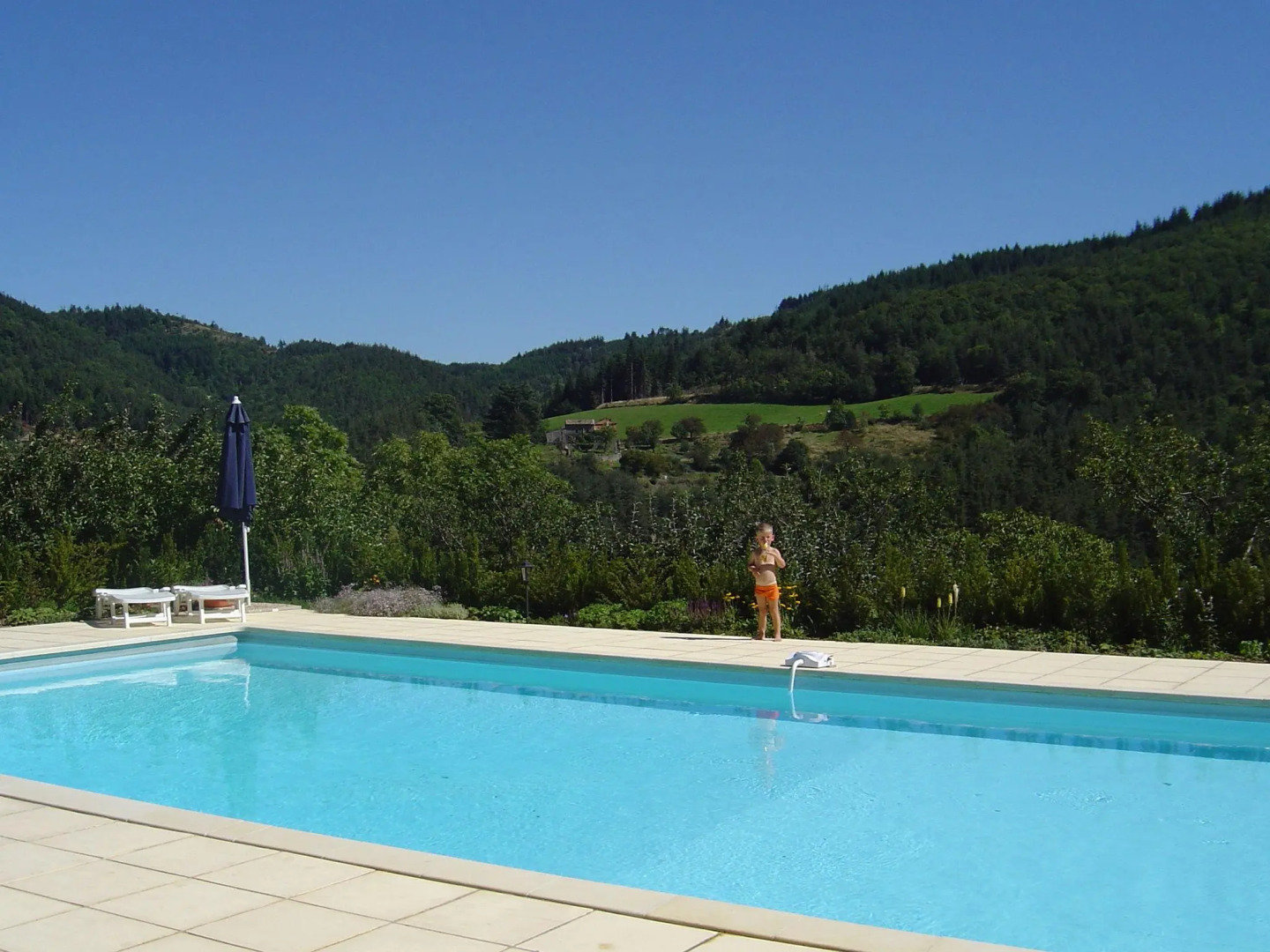 Apartment in a castle with garden and swimming pool