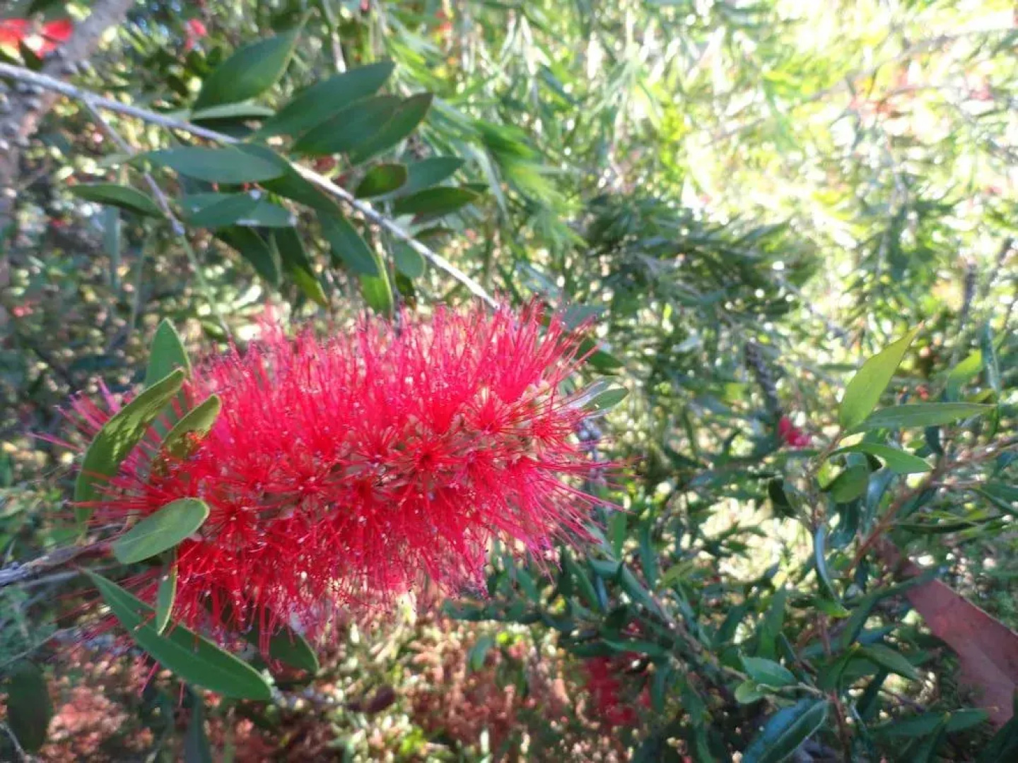 Down to Earth Farm Retreat