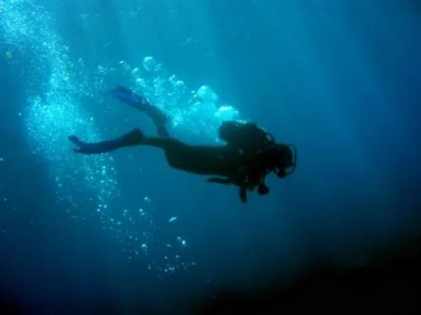 Popeye Pension & Restaurant