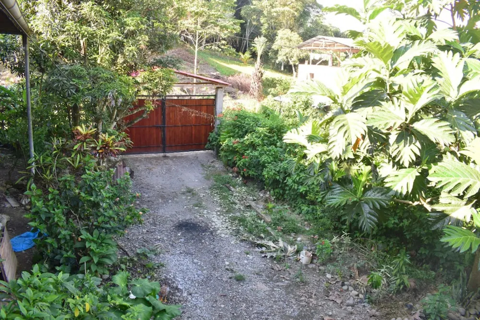 Casa Hospedaje Tingo Maria