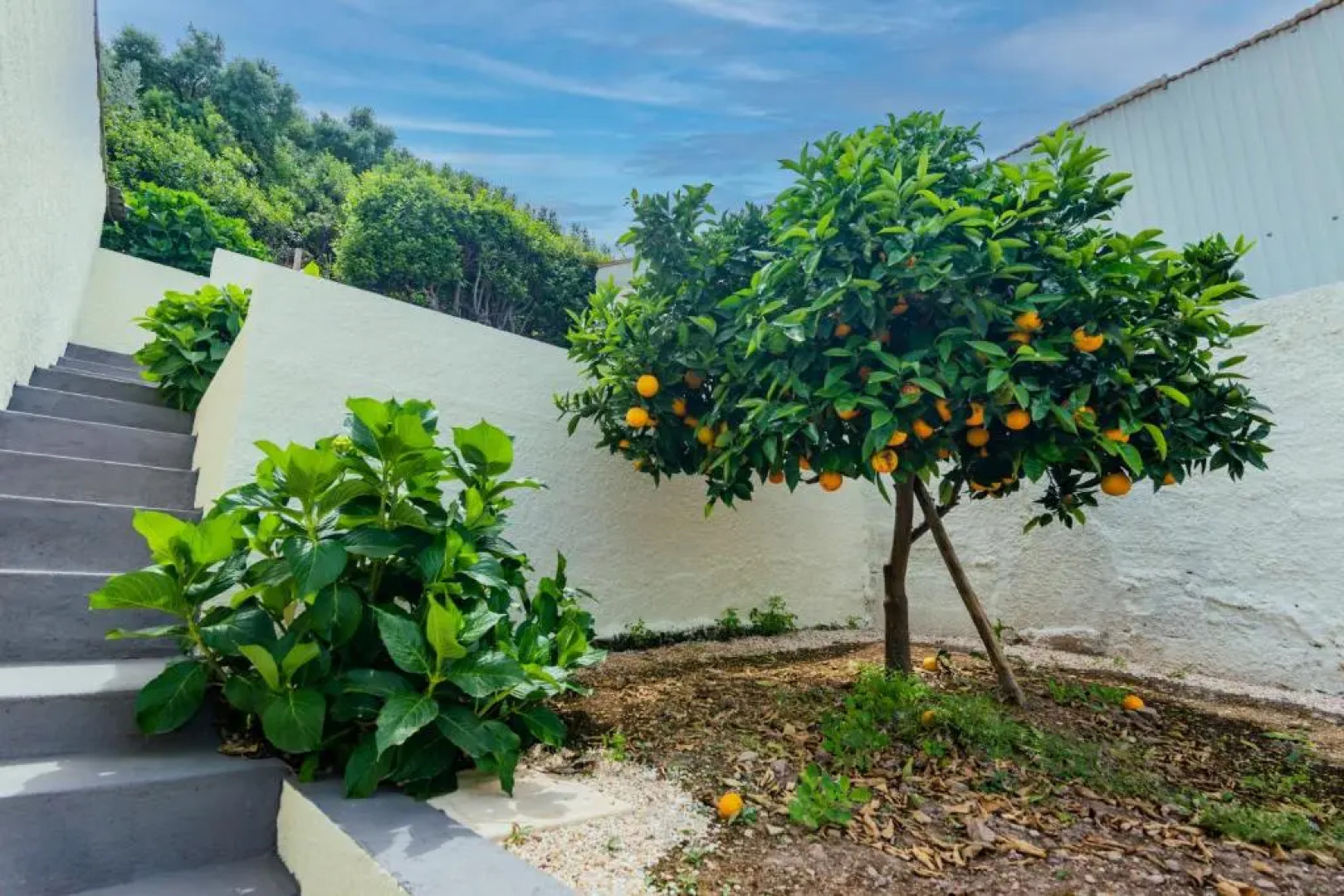 Mirasol - Casa com pátio no centro de Anadia