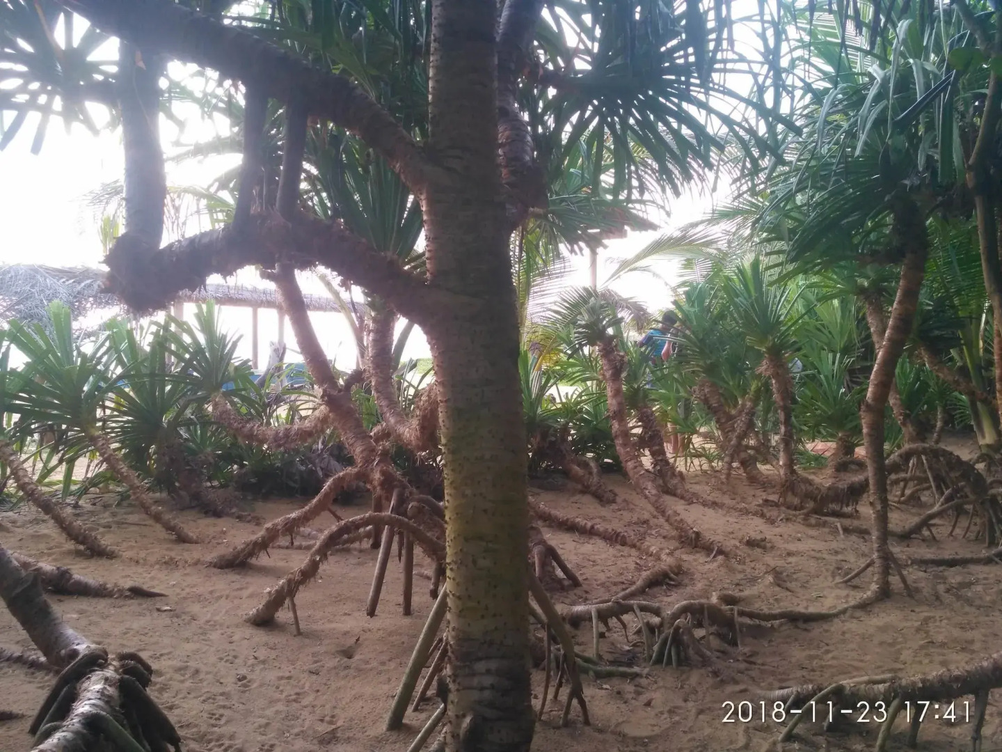 Ravana Beach Cabanas