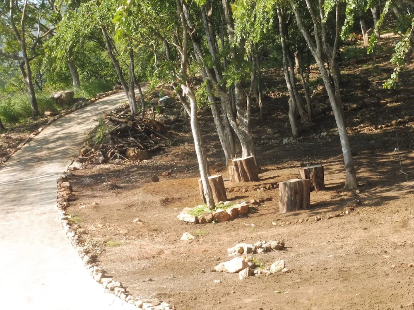 Renuka's Rest