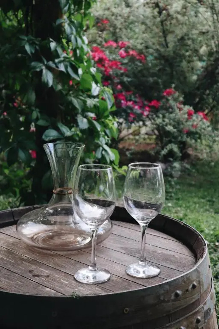 Guest House Entre Viñedos