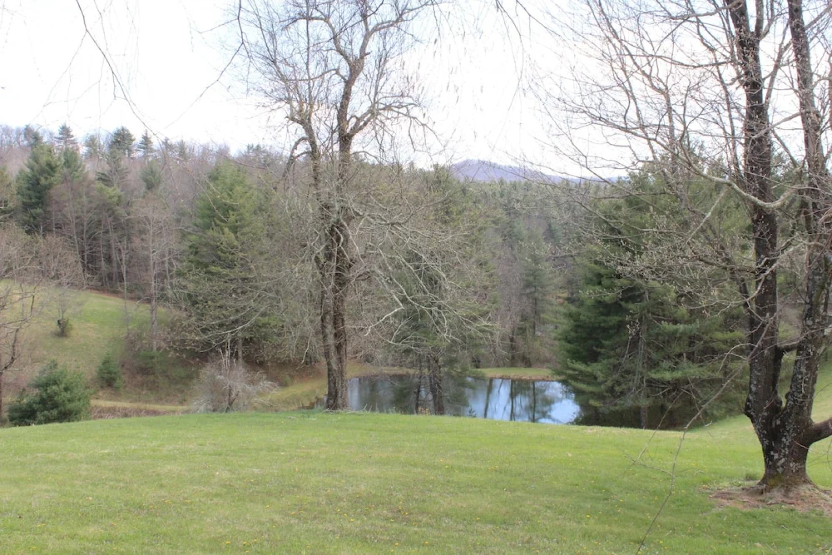 New River Inn and Cabins
