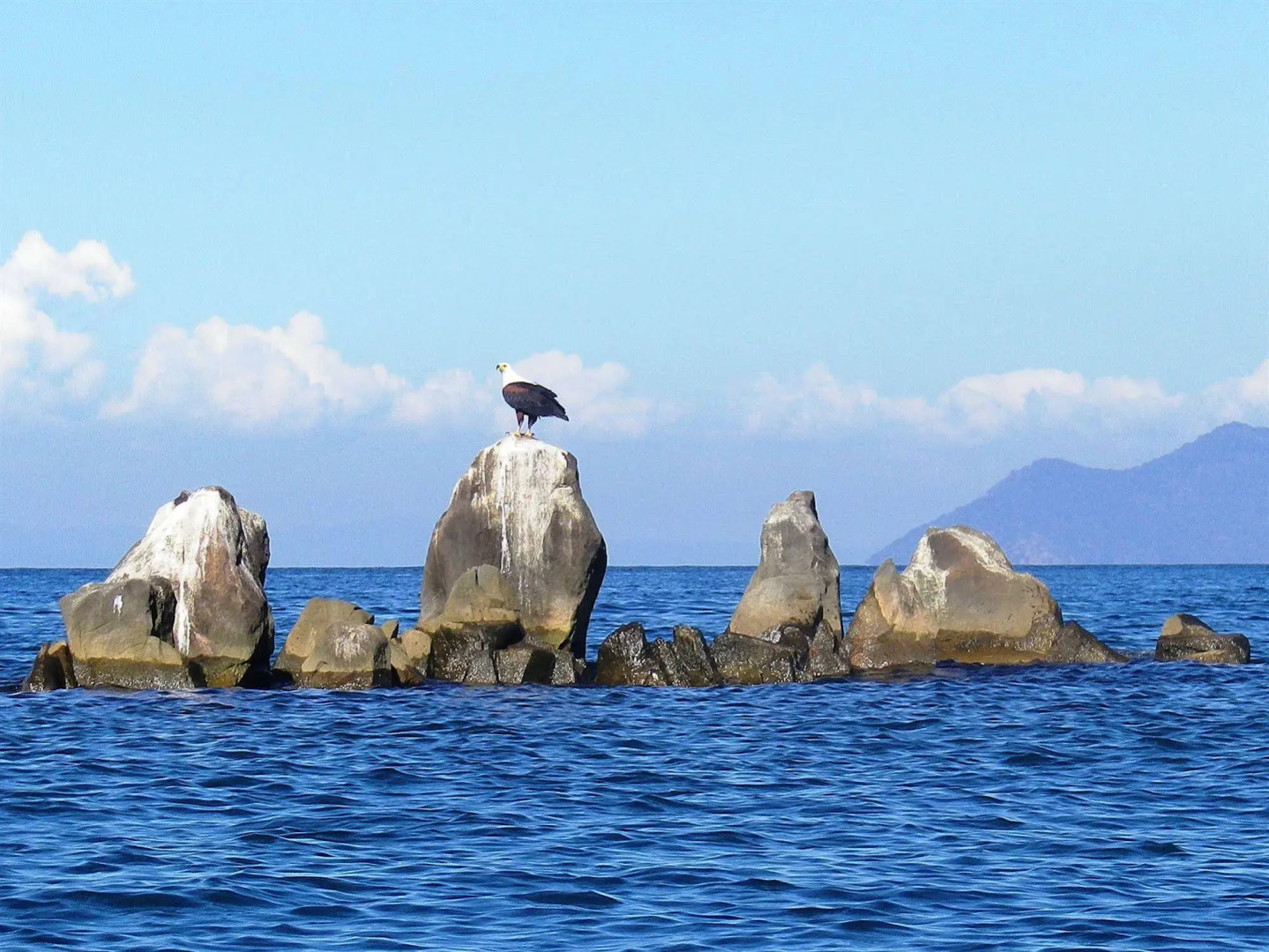 Blue Zebra Island Lodge