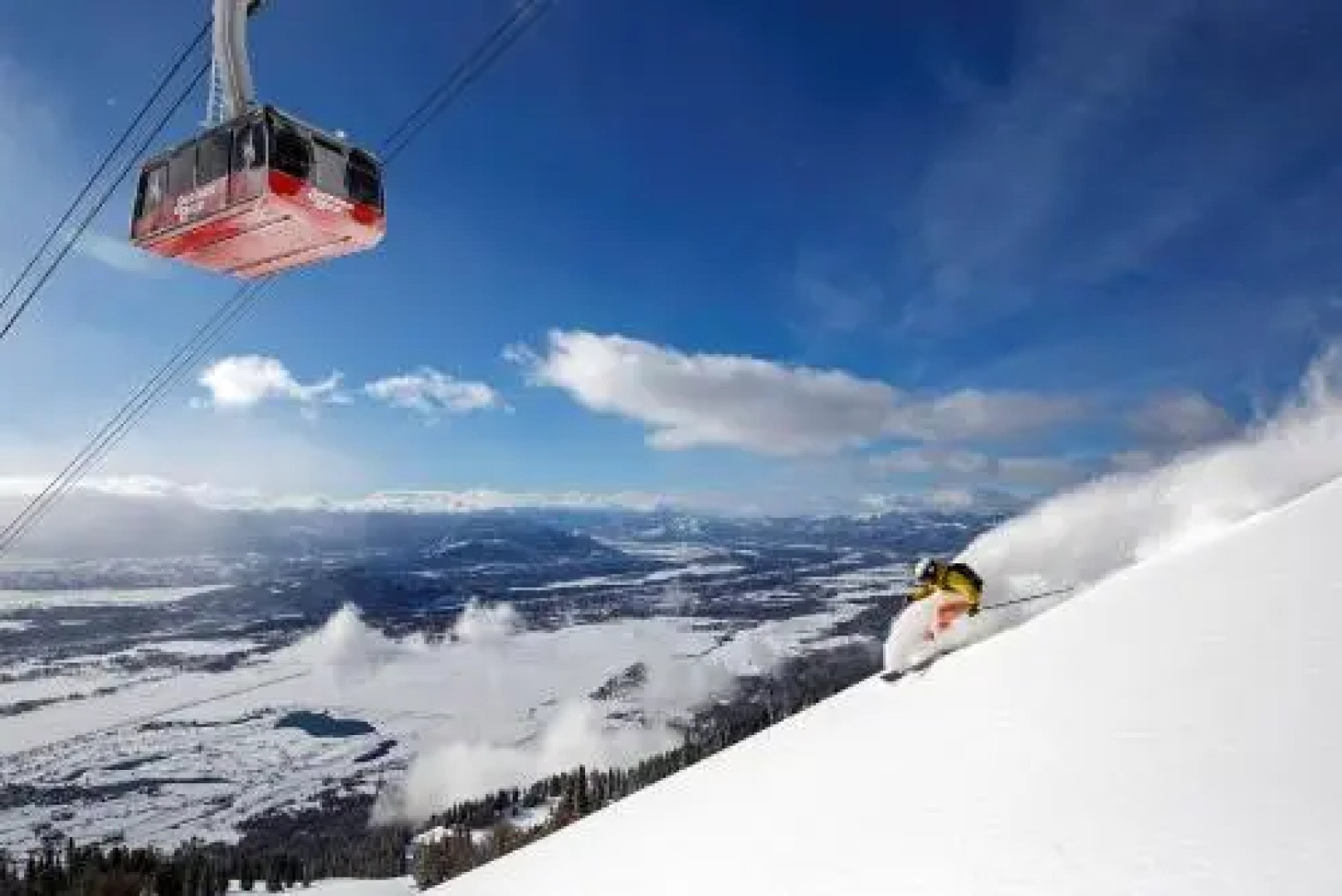 Primrose Condominiums