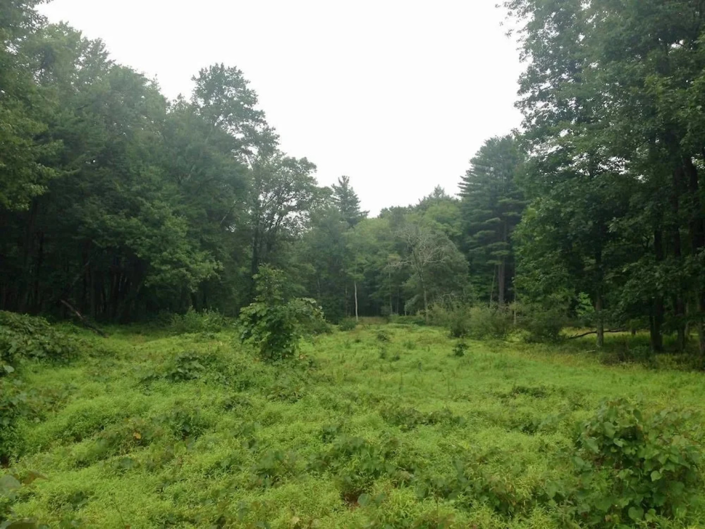 Tentrr - Clove Mountain Meadow