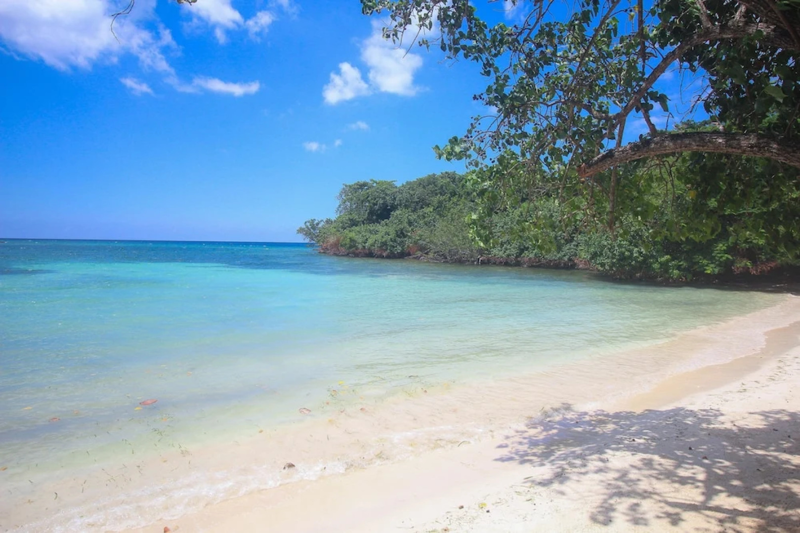 Half Moon Beach Cottages