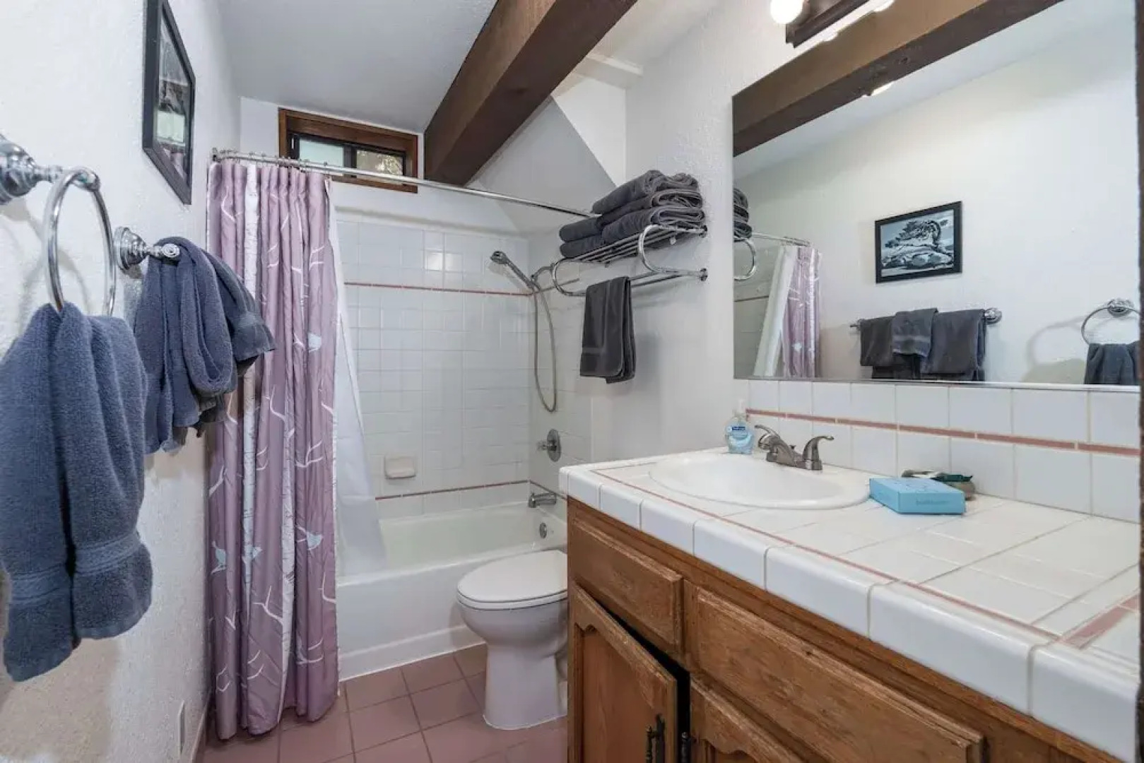 Yosemite Aviary and Quail Within Yosemite - 2 Separate Units, Up To 14 Guests!