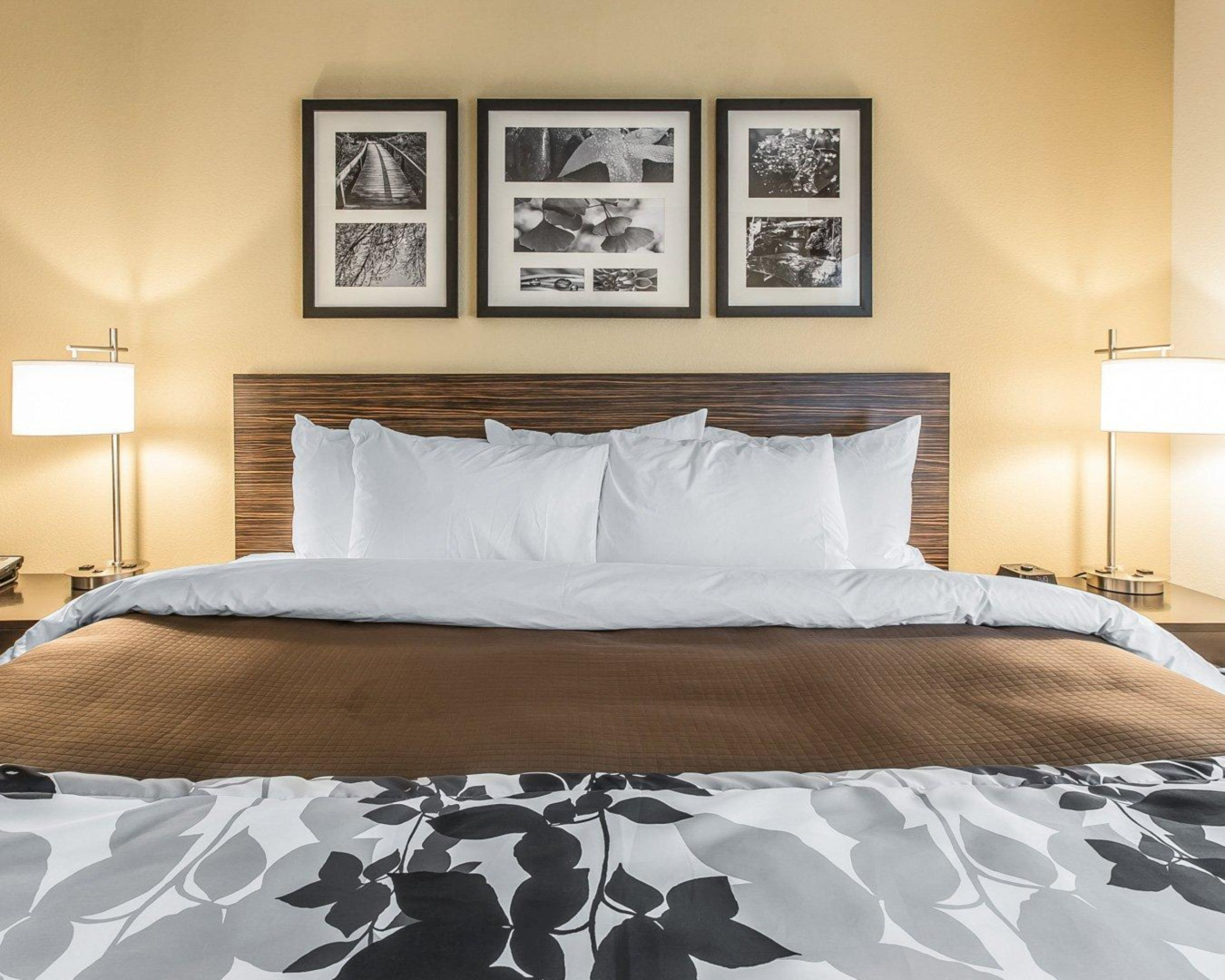 Quality Inn Decatur River City
