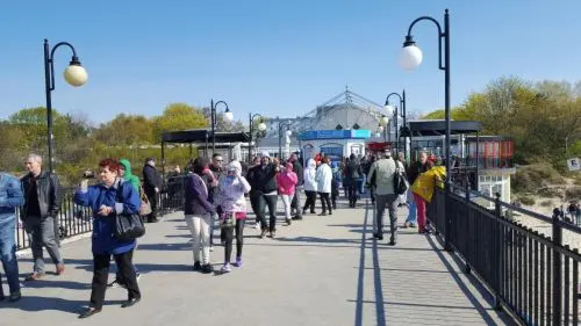 Osrodek Wczasowy Zloty Dab Domki