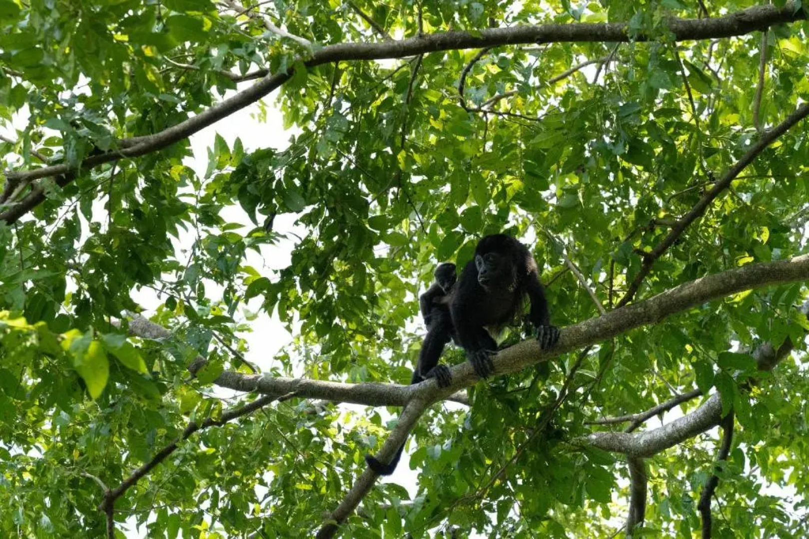 Casa Sunset at Mar Vista