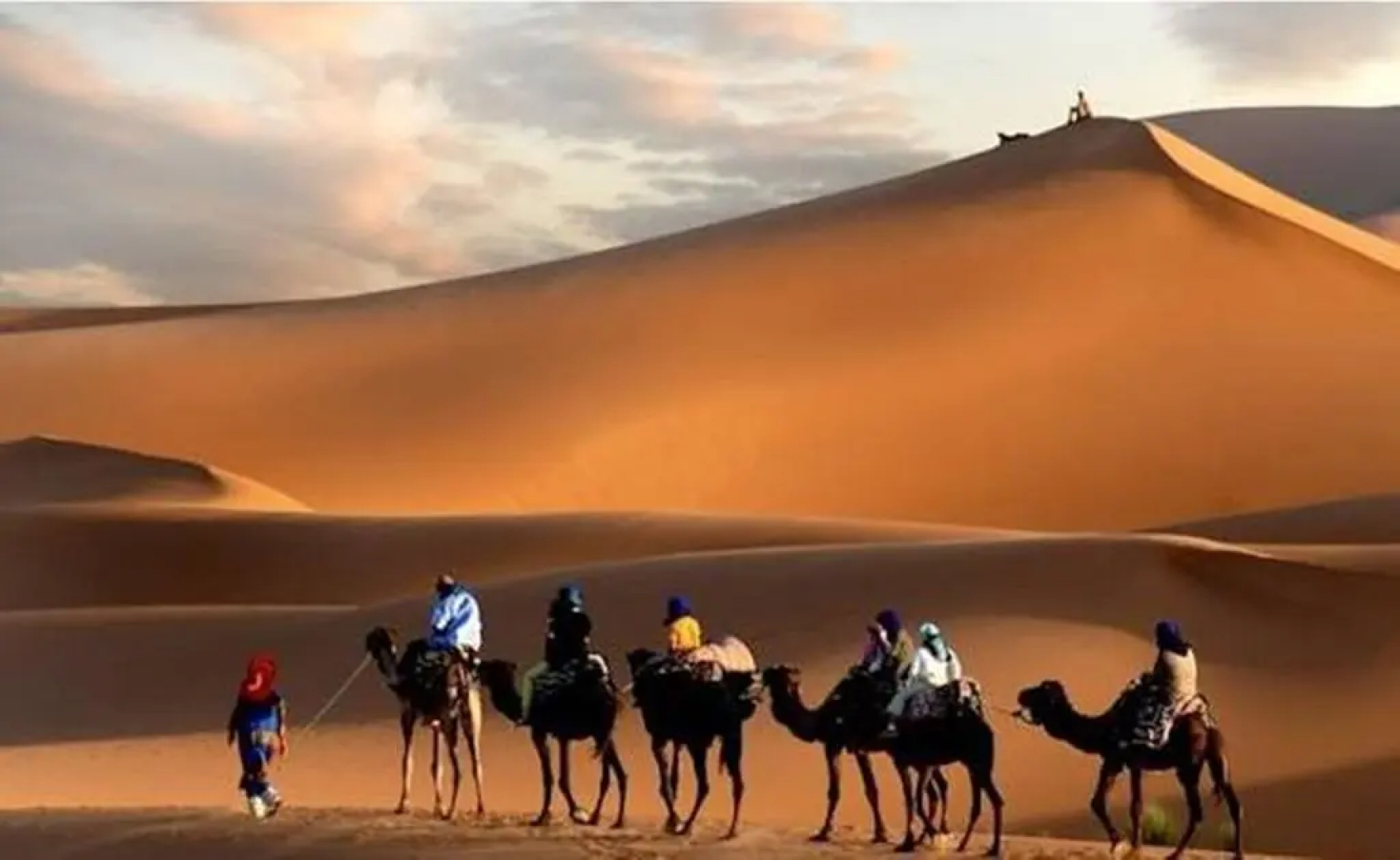 Bivouac Morocco Safari Tours