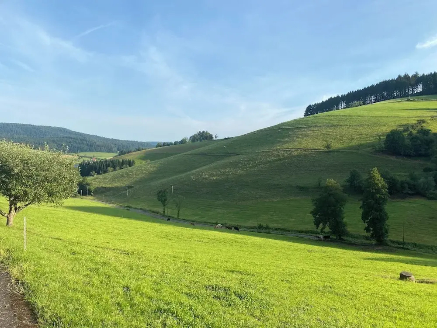 Room-double Room Linden Blossom