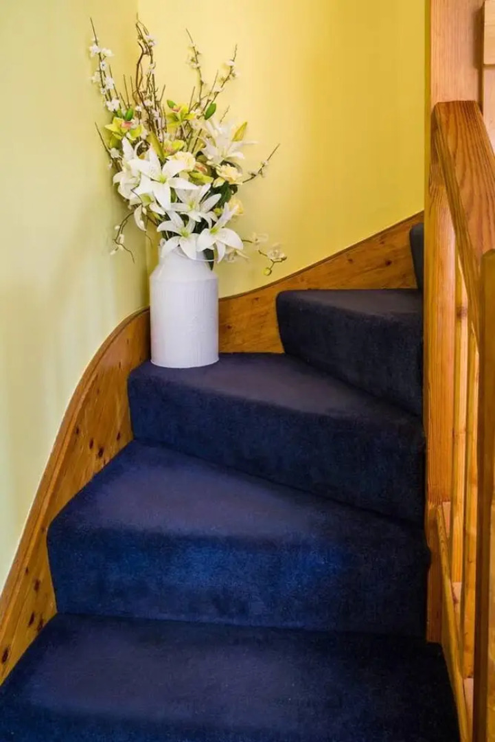 Sunshine Annex-double Bed,ensuite, Lounge, Kitchen