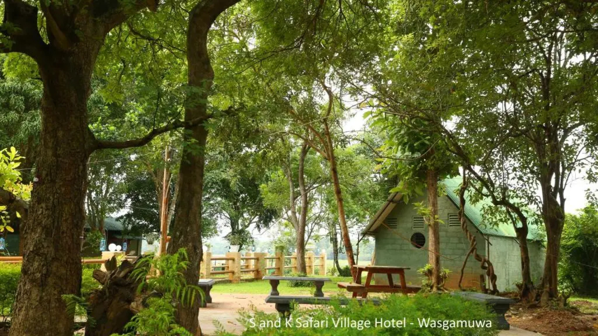 S and K Safari Village Hotel - Wasgamuwa