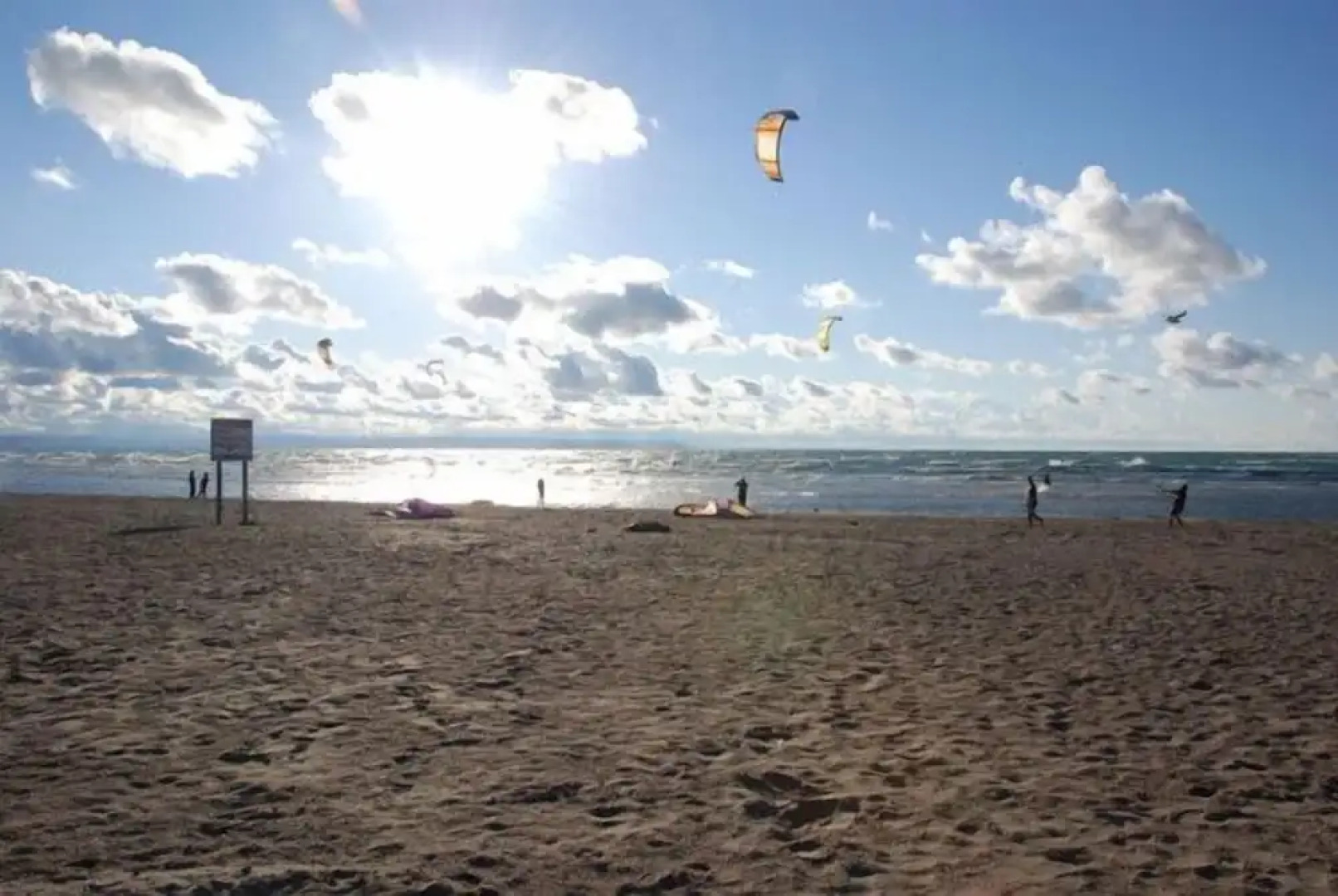 Beachfront Beach Houses