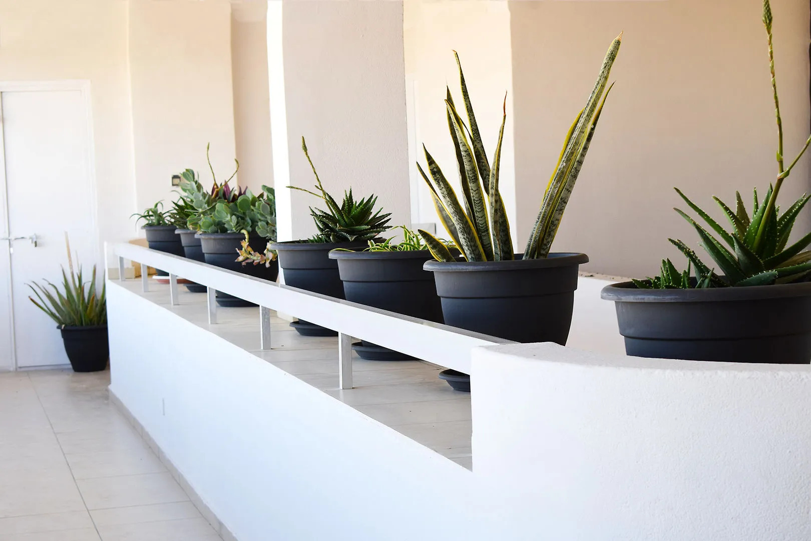 Sun Hall Beach Hotel Apts.