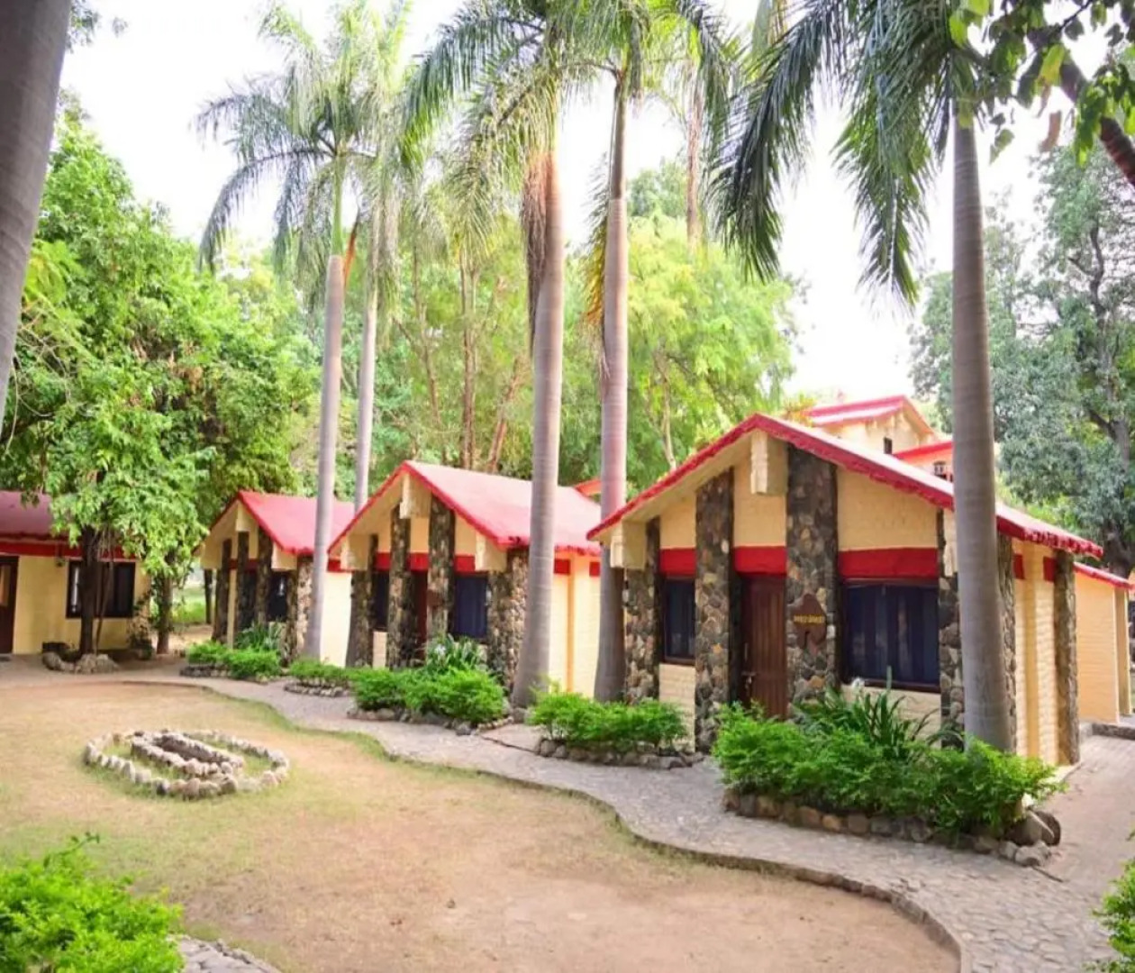 Leopard Lair Ananta Express