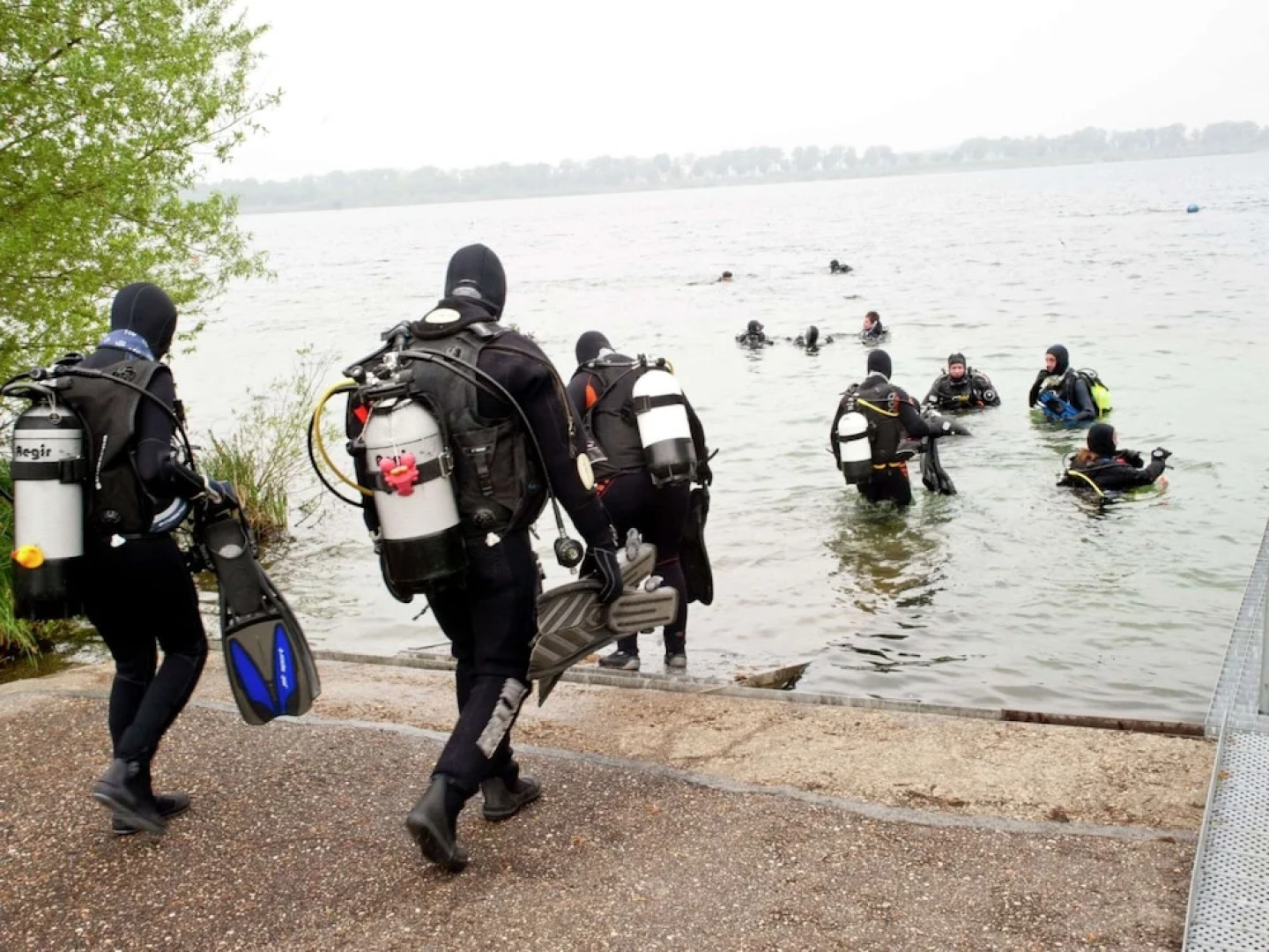 Pet-friendly Getaway