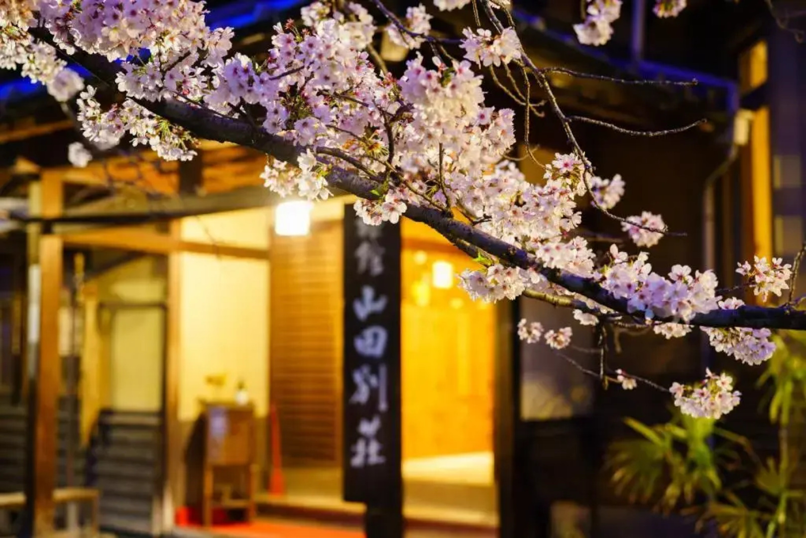 Beppu Onsen Kutsurogi no Onsen Yado Yamada Besso