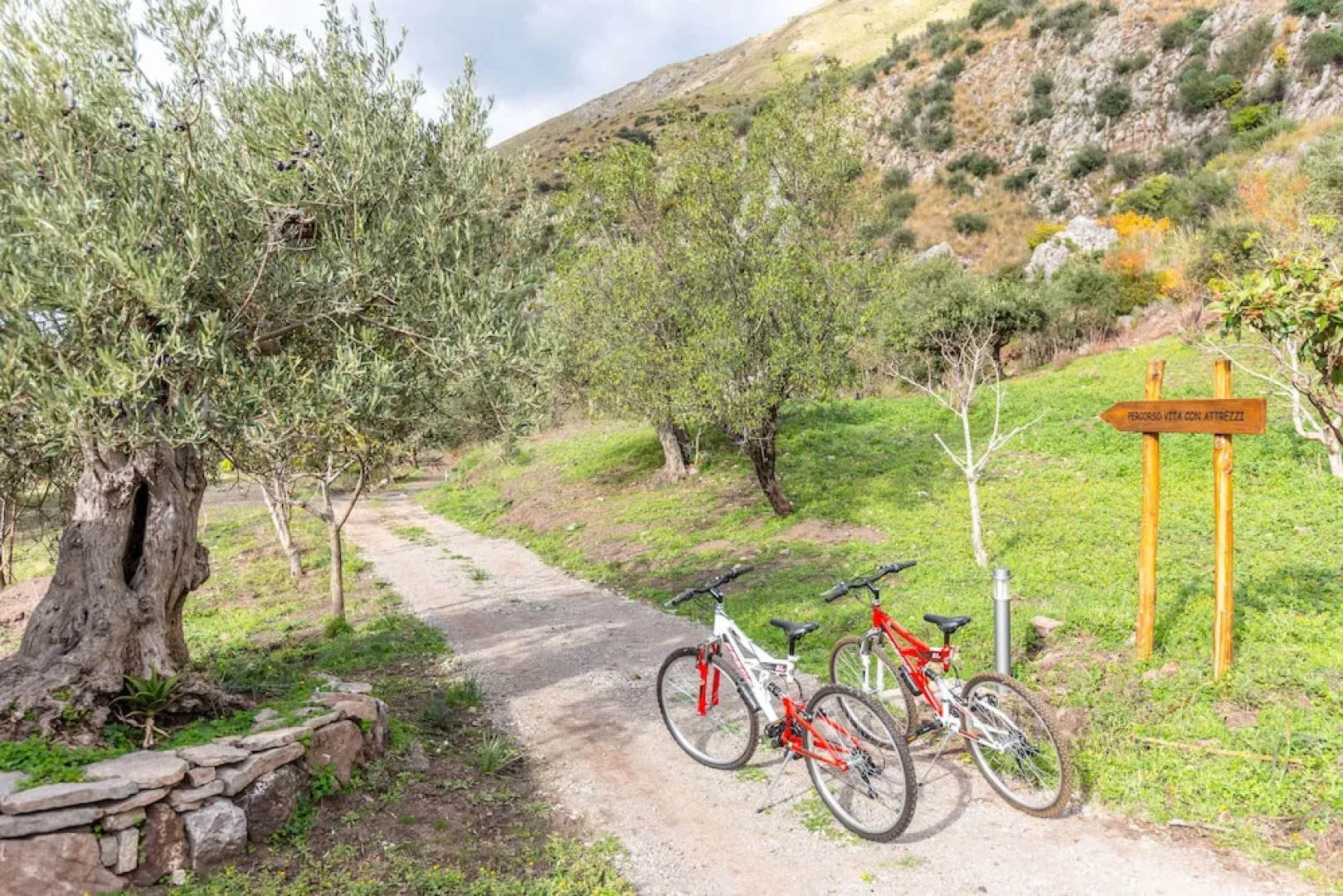 Rocca di Mezzogiorno - Gardenia