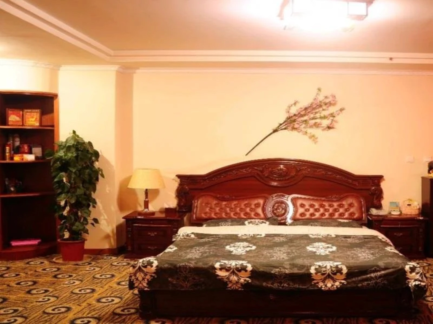 The Bog-Garden Hotel Lhasa