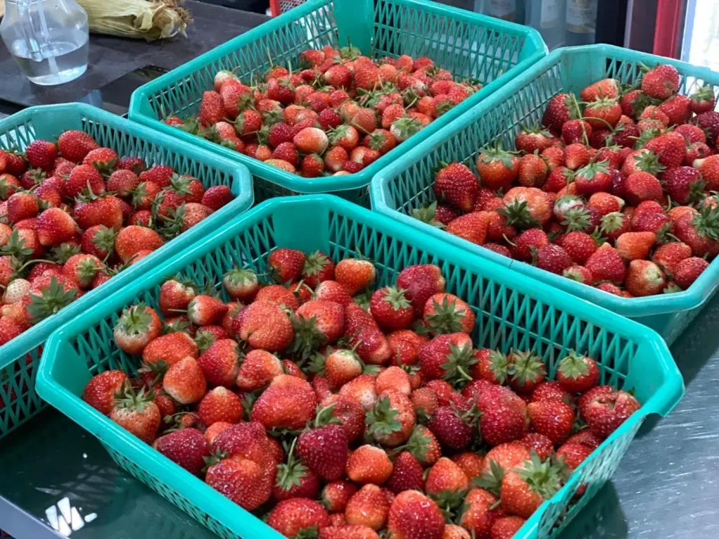 Ing Chan Farm /ไร่อิงจันทร์