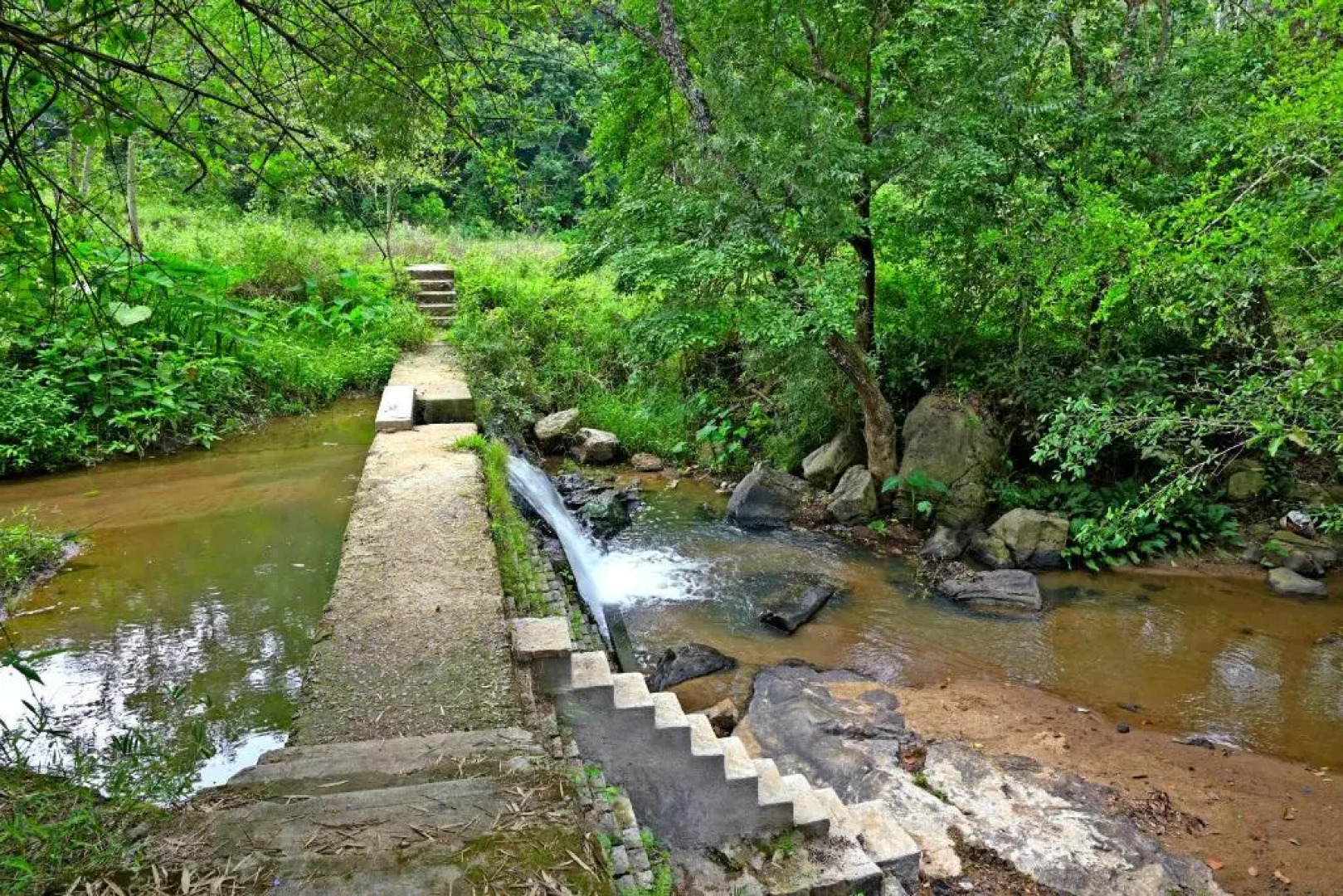 Giridarshini Homestay - Pool, Falls, Home Food & Estate