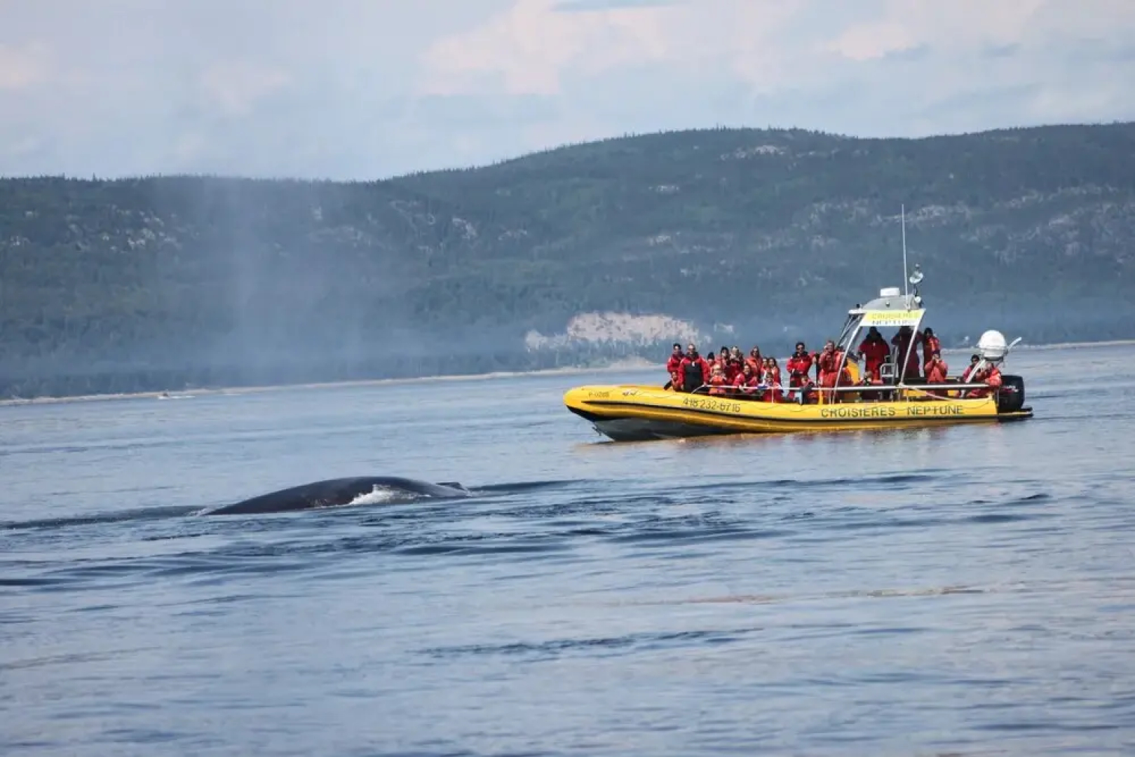 Gîte La Bergeronnette