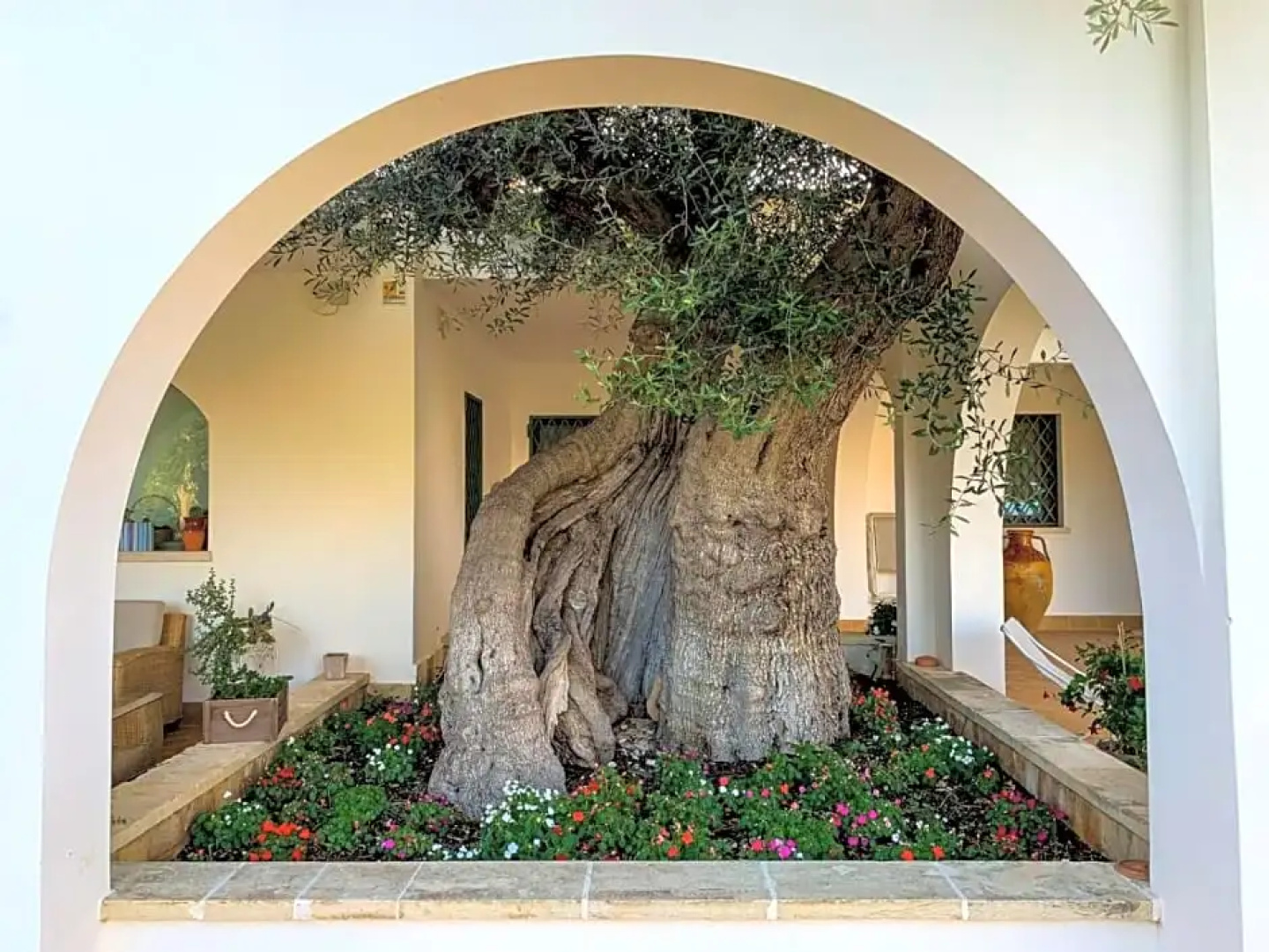 LUlivo Bed and Breakfast