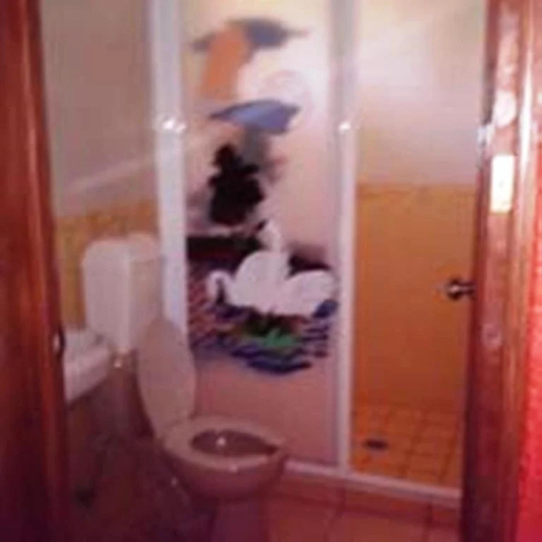 Cabañas y Habitaciones El Malecón