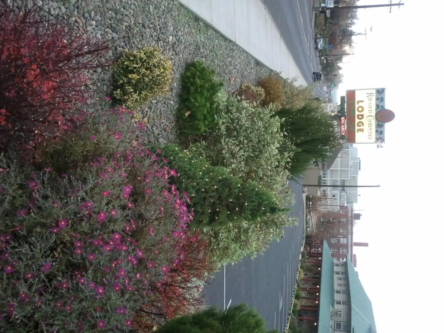 Rugged Country Lodge