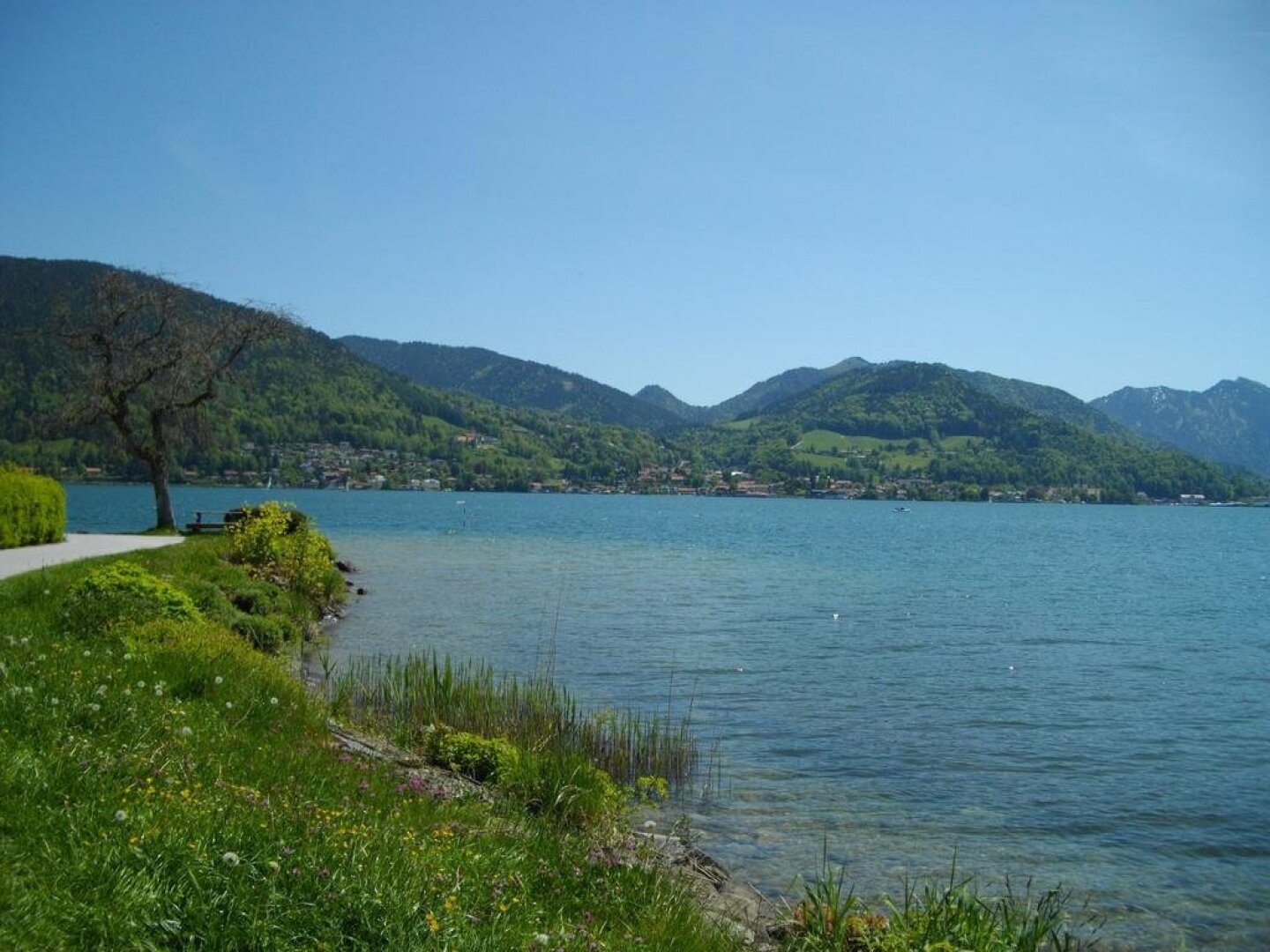 Hotel Wittelsbach am See